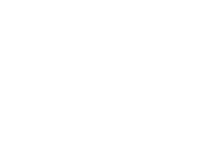 Logo White